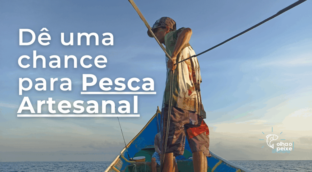 Pesca Artesanal