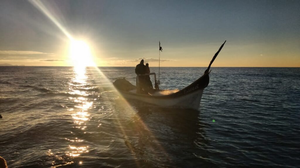 Olha o peixe Olha o peixe