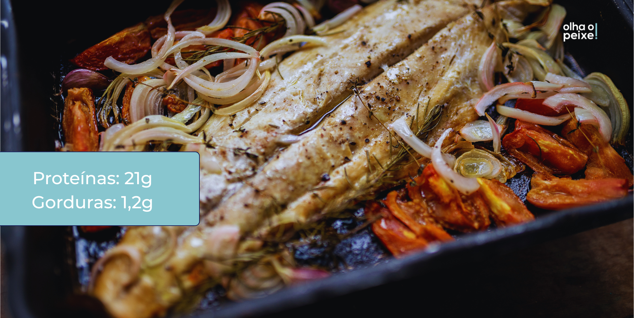 peixe Curitiba