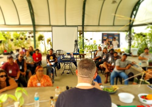 Curso para Pescadores do Litoral de SP: agregação de valor ao pescado com receitas e práticas inovadoras. Cliente: FIA - USP.